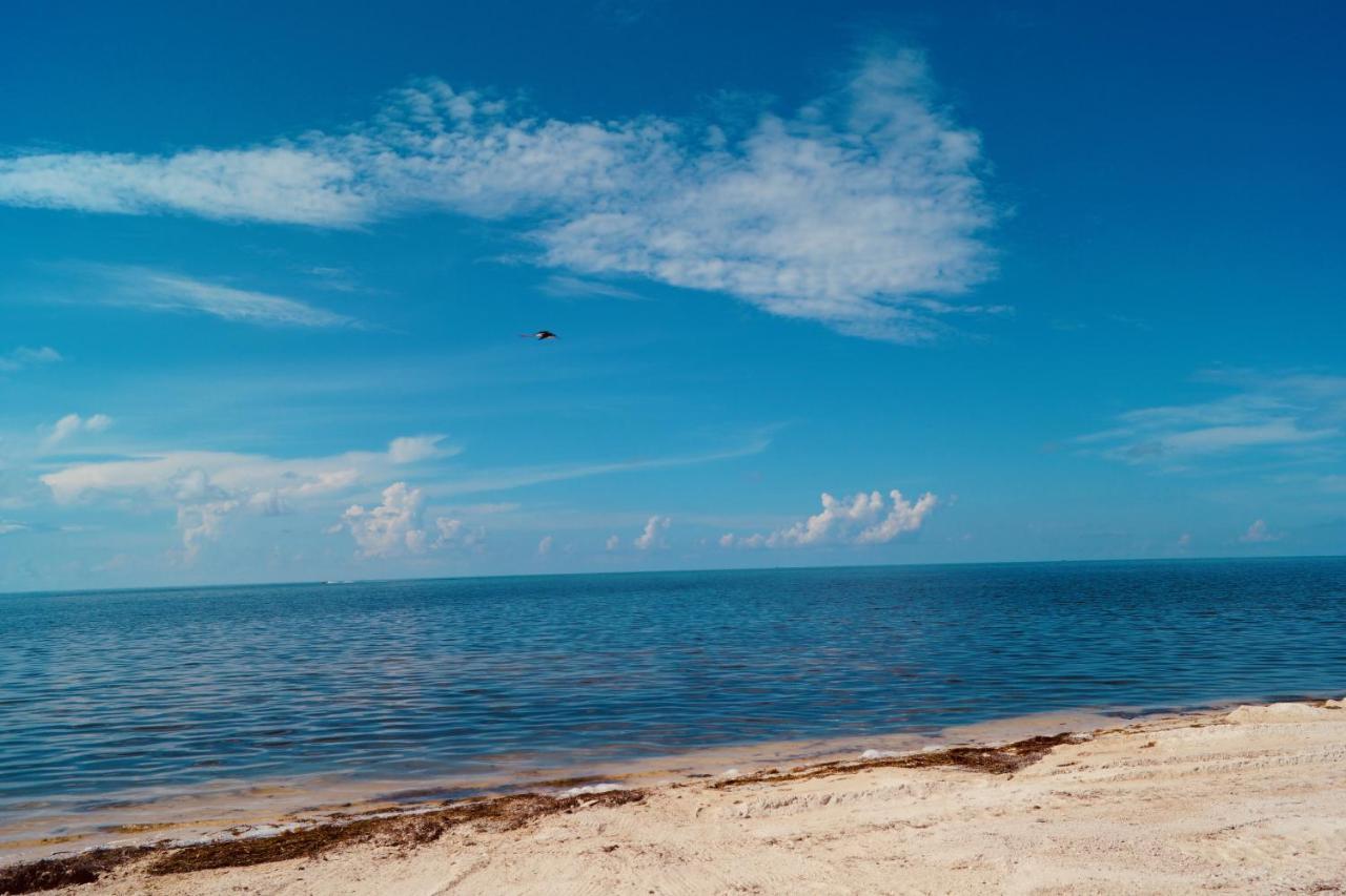 Deer Run On The Atlantic Bed & Breakfast Big Pine Key Luaran gambar
